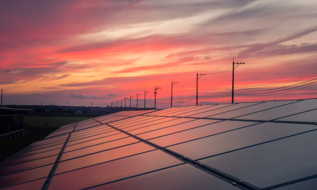 10667815_s 10667815_s